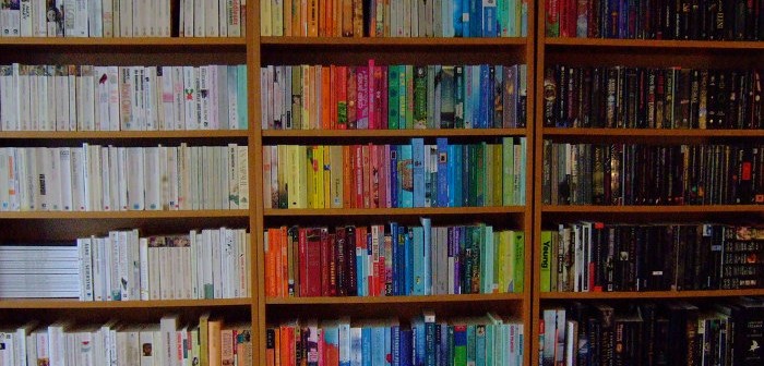 Домашняя библиотека в цветах радуги